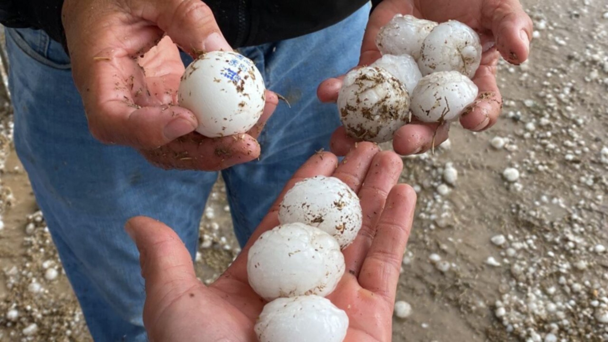 La tormenta afectó casas, autos, producción y resurgieron las quejas en el Este